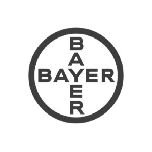 bayer Logo bayer Logo